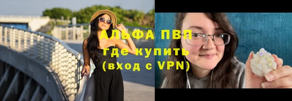 винт Богданович